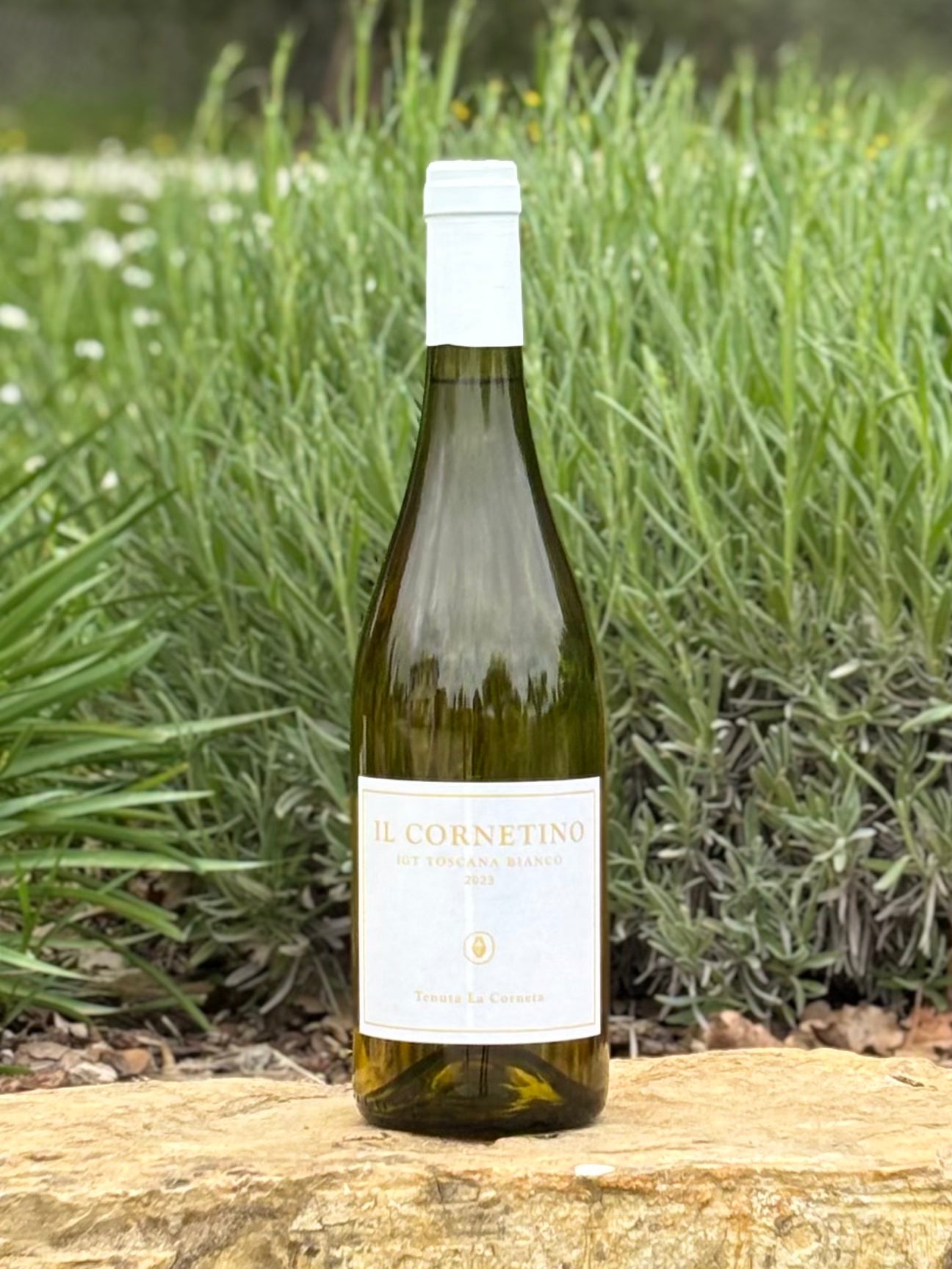 La Corneta Bianco 2023